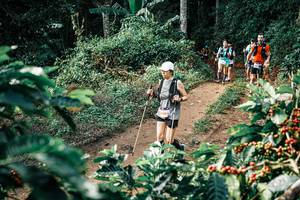 BIB: 
                            <button type="button" onclick="openModal(25852620)" class="btn btn-primary btn-sm float-right btn-popup" data-toggle="modal" data-target=".modal-high-quality">
                        <i class="fas fa-shopping-cart"></i> Add to Cart
                    </button>
                                            <button type="button" onclick="isThisMe(25852620, true)" class="btn btn-success btn-sm float-right btn-popup btn-isme hidden" data-toggle="tooltip" data-placement="bottom" title="นี่คือรูปของคุณใช่ไหม คลิกที่นี่เพื่อเอาเข้าอัลบั้ม">
                        <i class="fas fa-plus"></i> Add to album
                    </button>
                    <button type="button" onclick="isThisMe(25852620, false)" class="btn btn-warning btn-sm float-right btn-popup btn-isnotme hidden">
                        <i class="fas fa-ban"></i> Remove from album
                    </button>